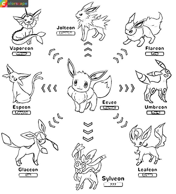 eevee-pokemon-coloring-pages-coloring-home