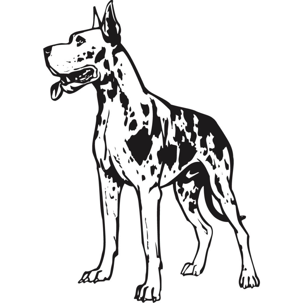 Great Dane Coloring Pages Free Printable Coloring Pages Great Dane ...