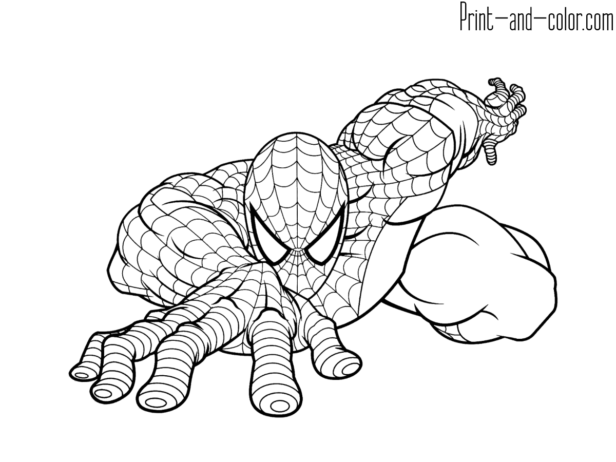 Spider Man coloring pages | Print and Color.com
