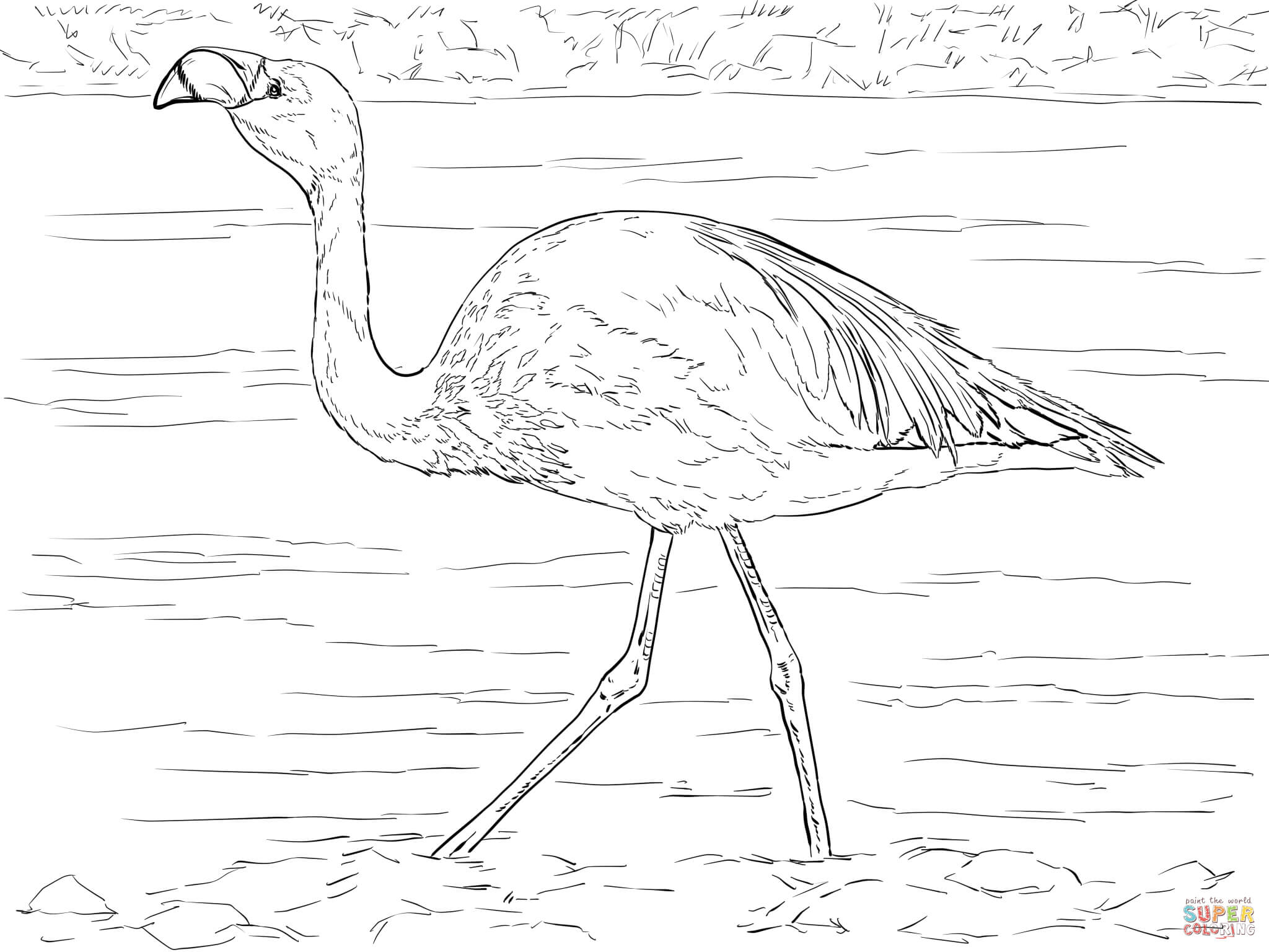 Flamingos coloring pages | Free Coloring Pages