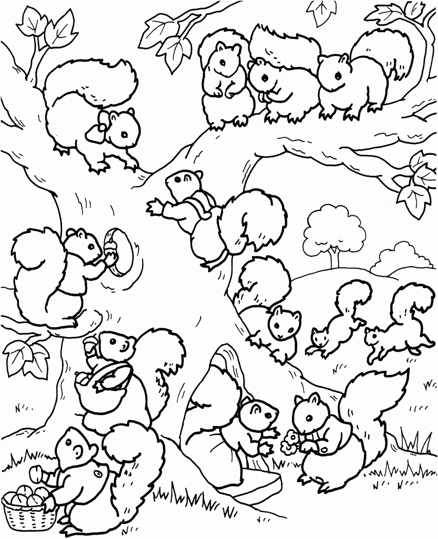 Coloring Pages Flying Squirrel Coloring Pages Squirrel Coloring ...