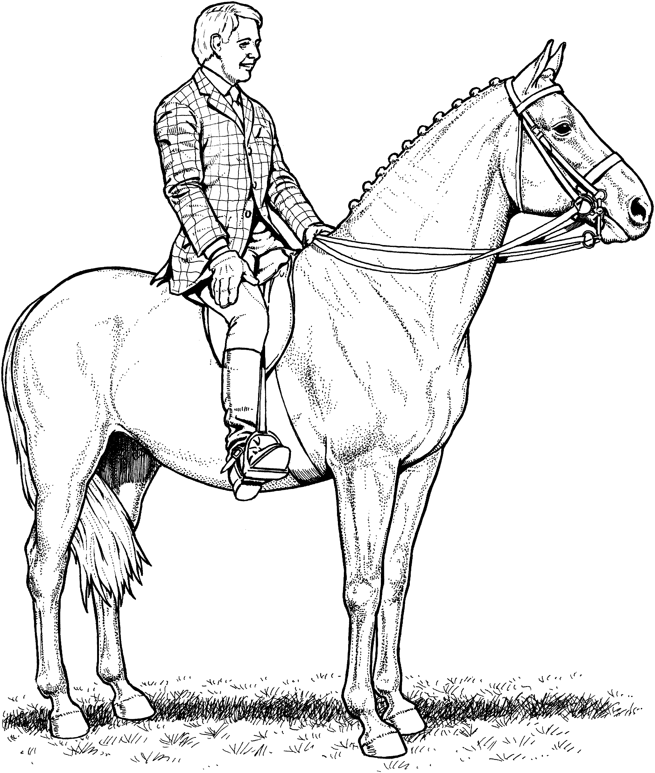 Color: Horses Competition | Horse Coloring Pages ...