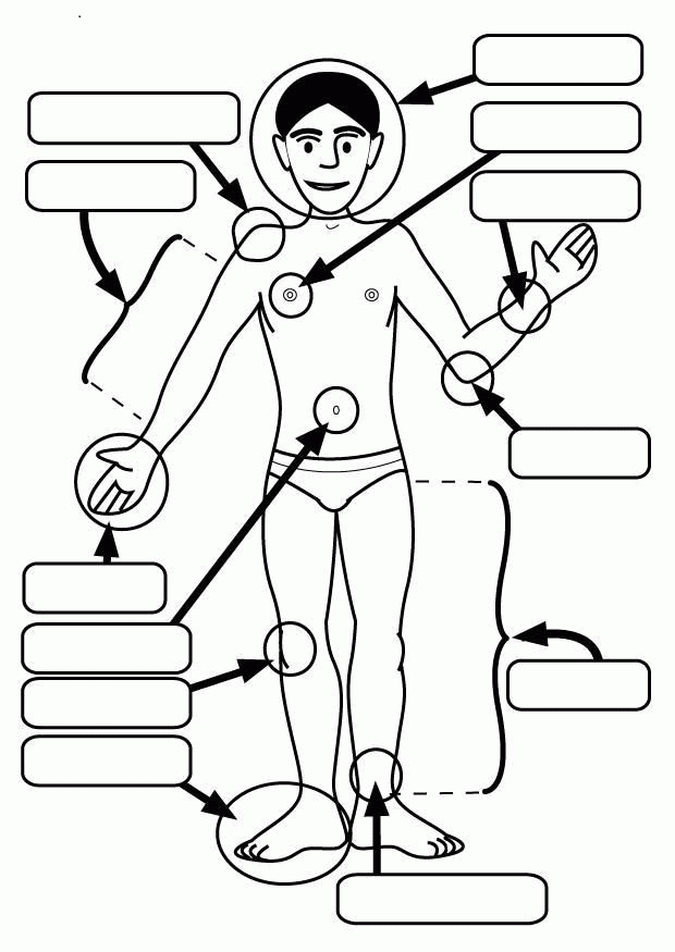 Parts Of The Body For Kids Coloring Pages