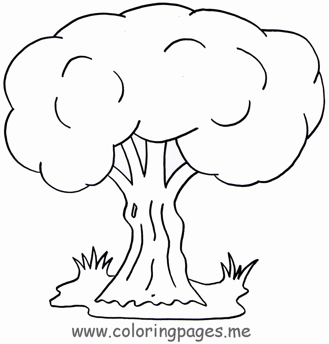 Tree Coloring - Coloring Pages for Kids and for Adults