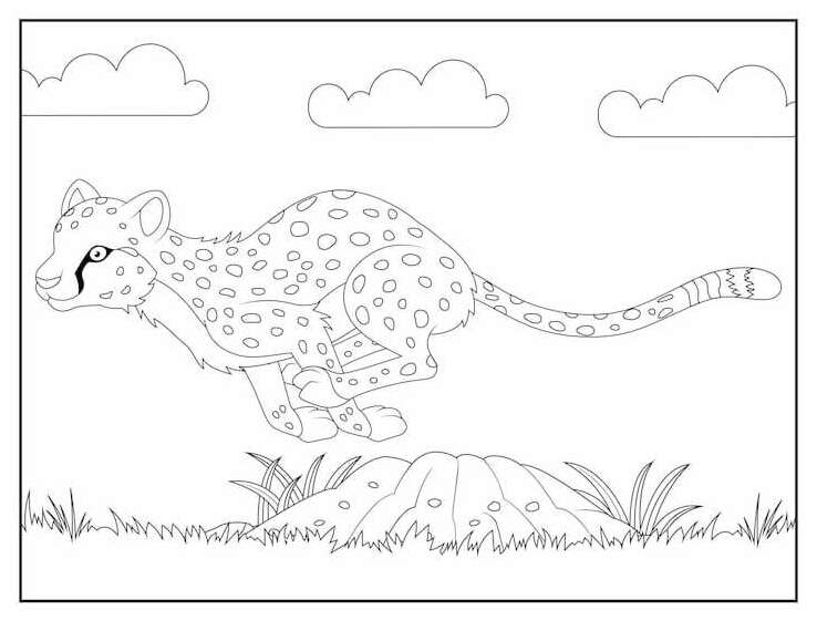 21 Cheetah Coloring Pages - Etsy Singapore