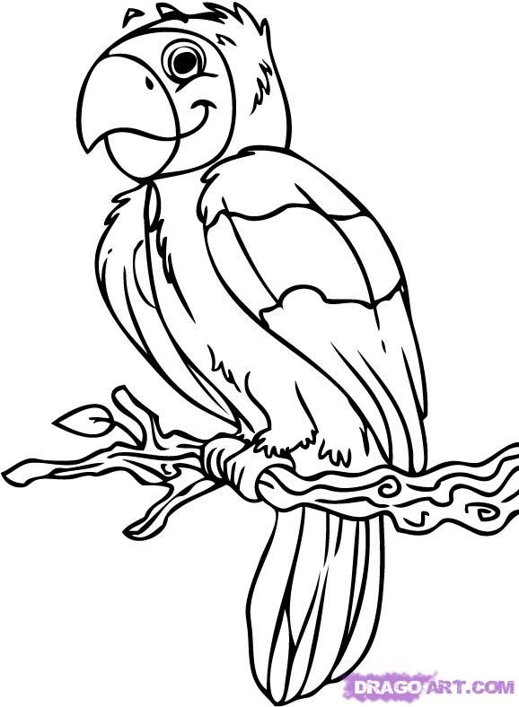 How To Draw A Cartoon Parrot, Step By Step, Birds, Animals, FREE ... -  Coloring Home