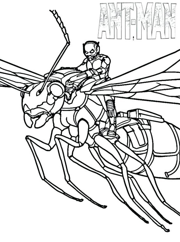 Ant Man Coloring Pages - Best Coloring Pages For Kids