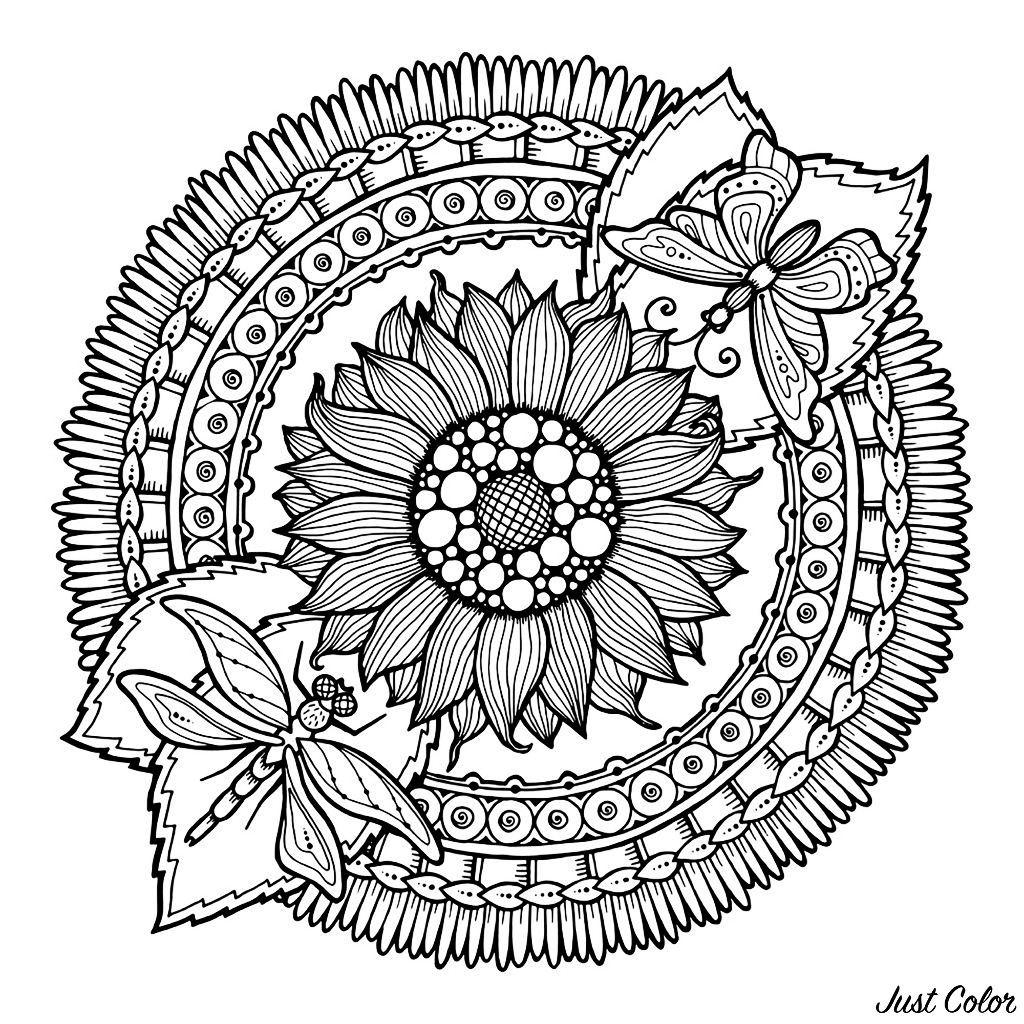 Mandala dragonfly and flowers - Mandalas Adult Coloring Pages