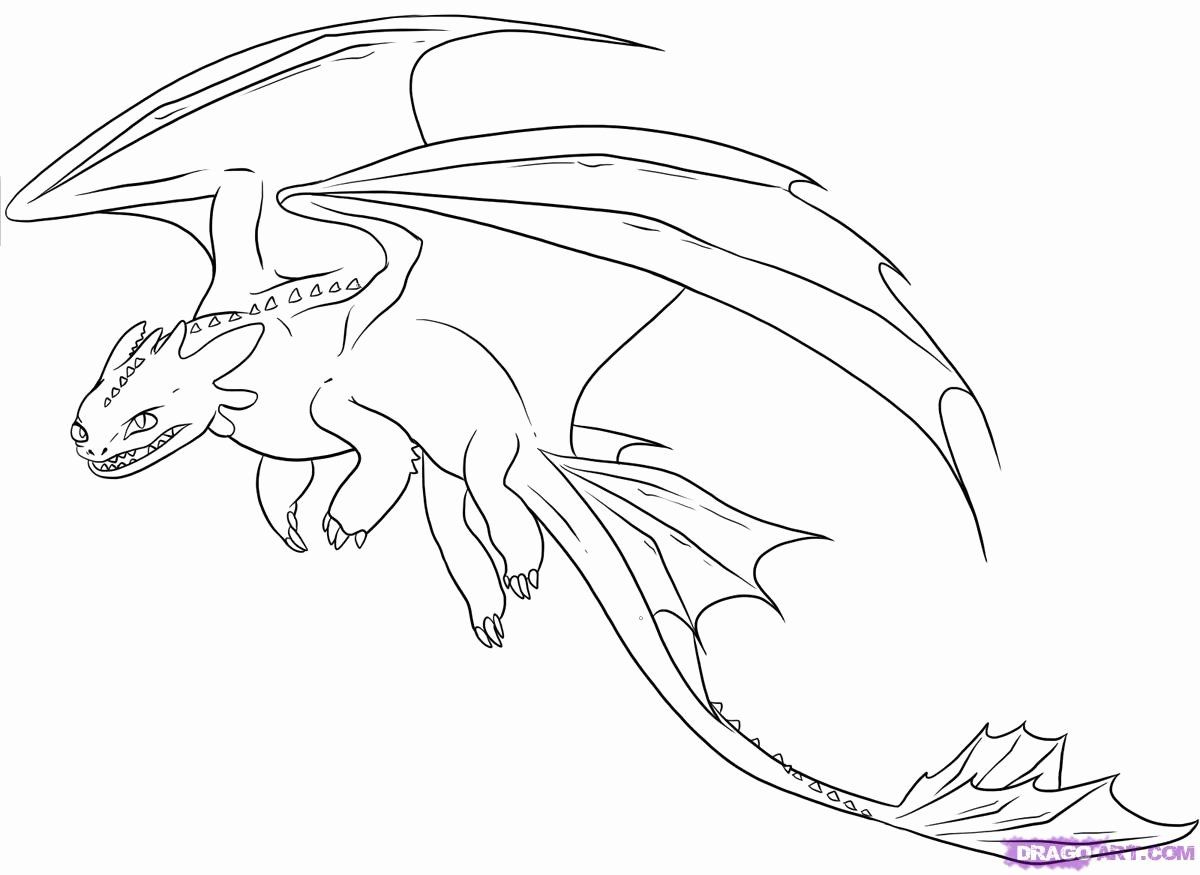 32 Light Fury Coloring Page in 2020 | Dragon coloring page, Dragon pictures  to color, Realistic dragon