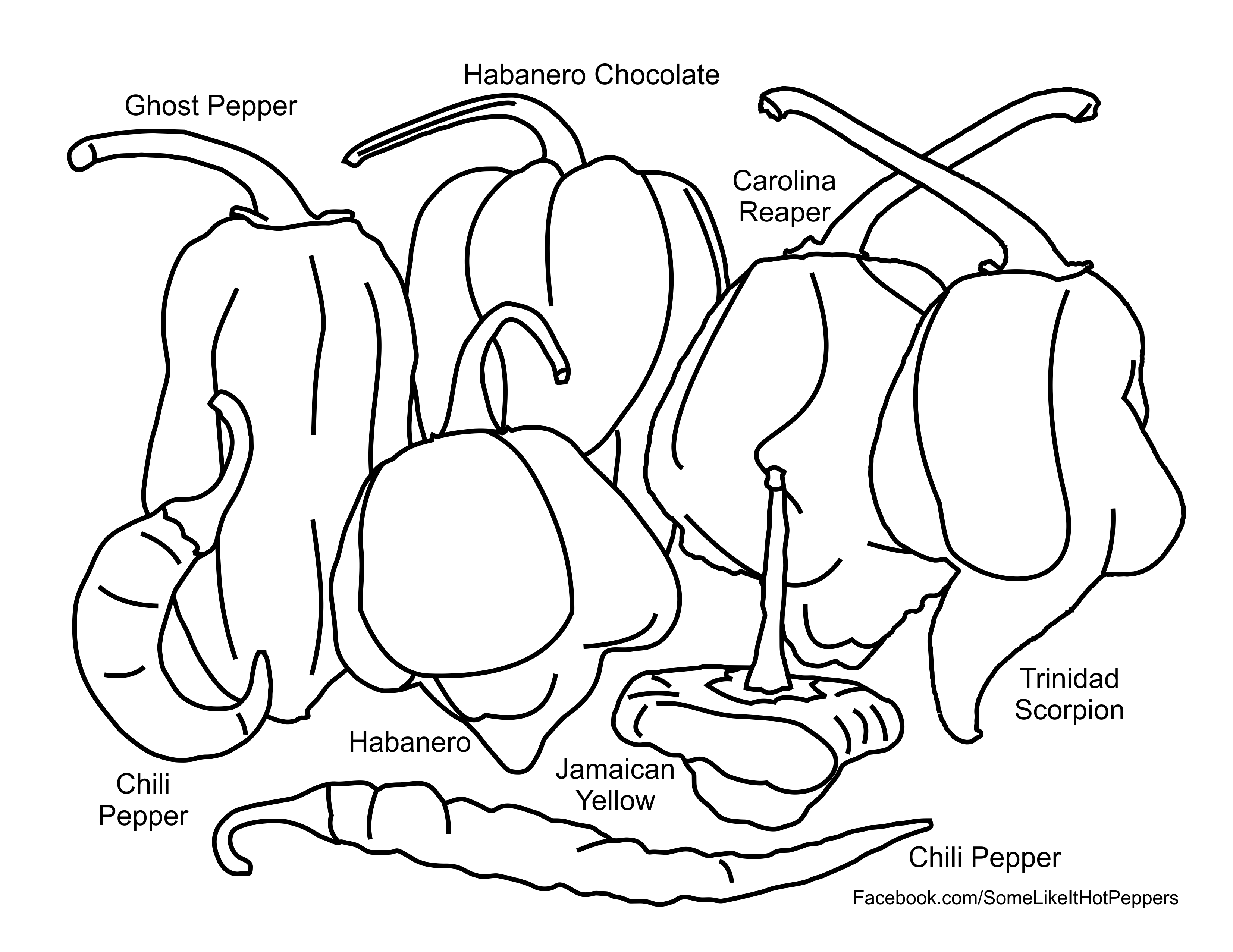 Hot pepper coloring page. | Stuffed peppers, Ghost peppers, Stuffed hot  peppers