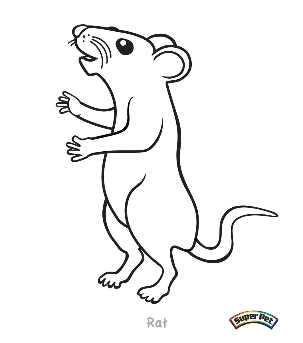 Click The Kangaroo Rat Coloring Pages   Cartoon Rat Coloring Page ...
