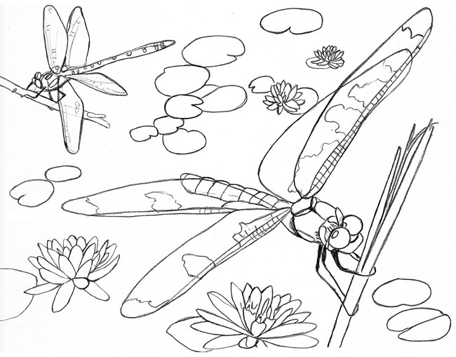 Coloring Pages - Grand Portage National ...