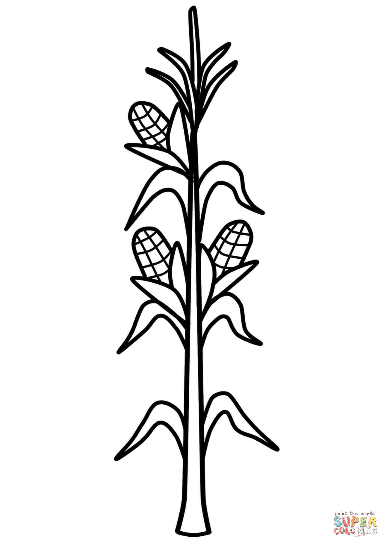 Corn Stalk coloring page | Free Printable Coloring Pages