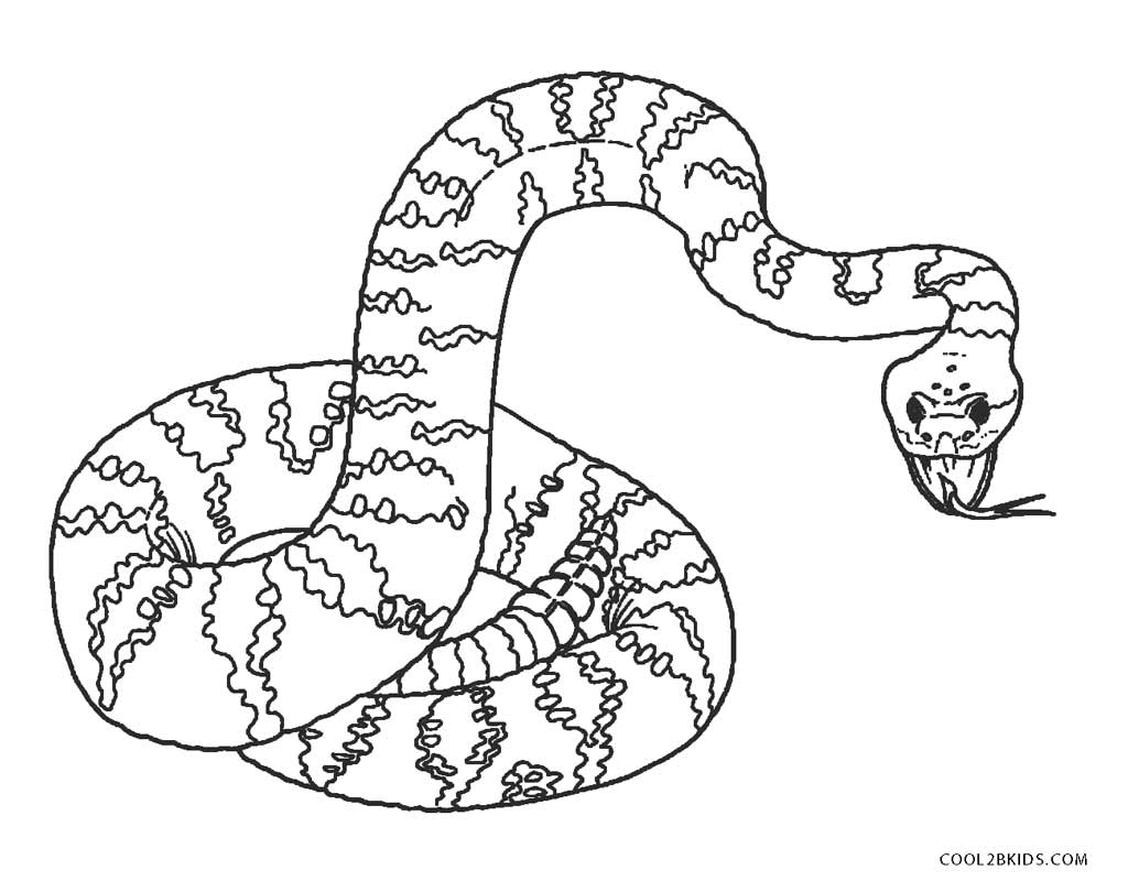 Snake Fangs Coloring Pages   Coloring Home