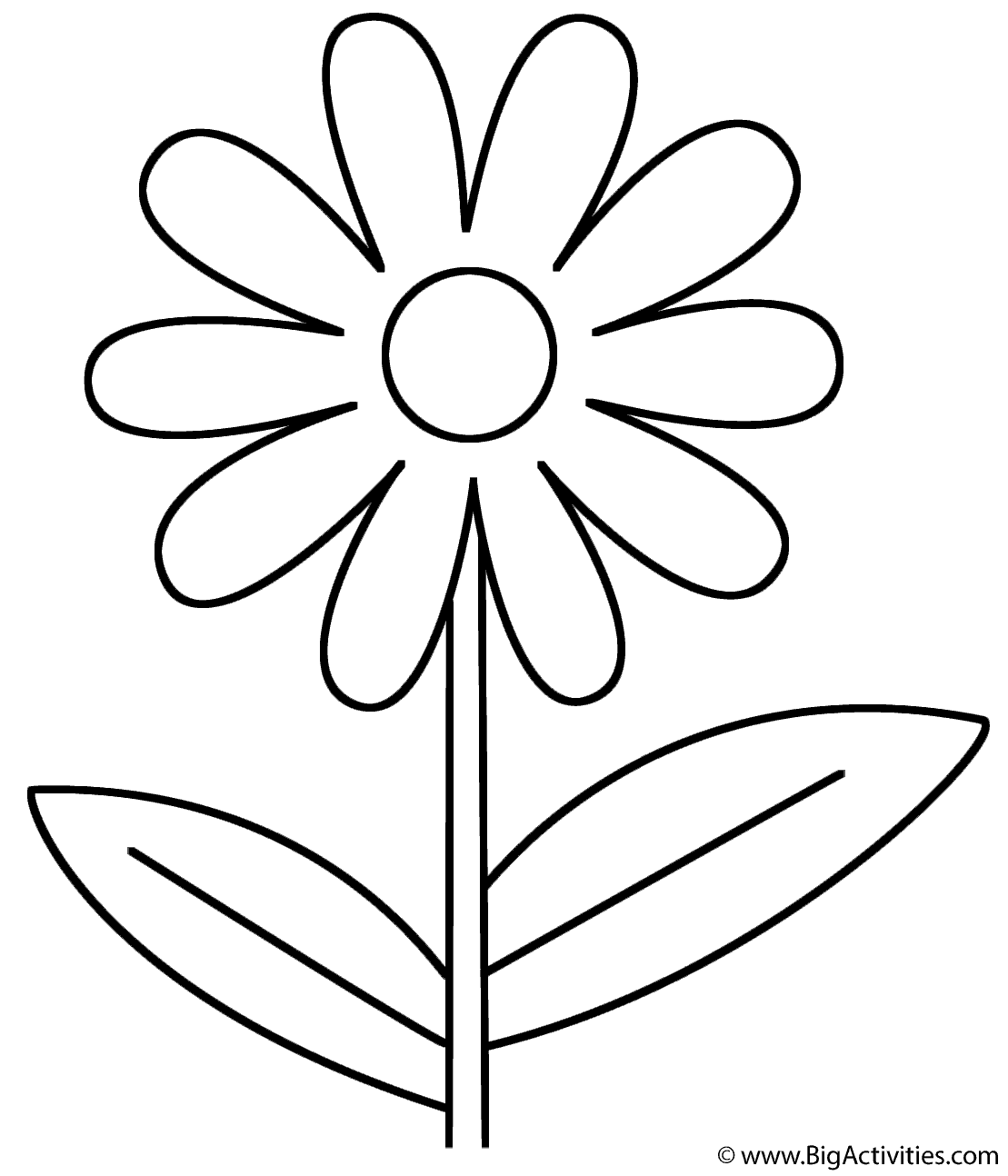 Flower - Coloring Page (Plants)