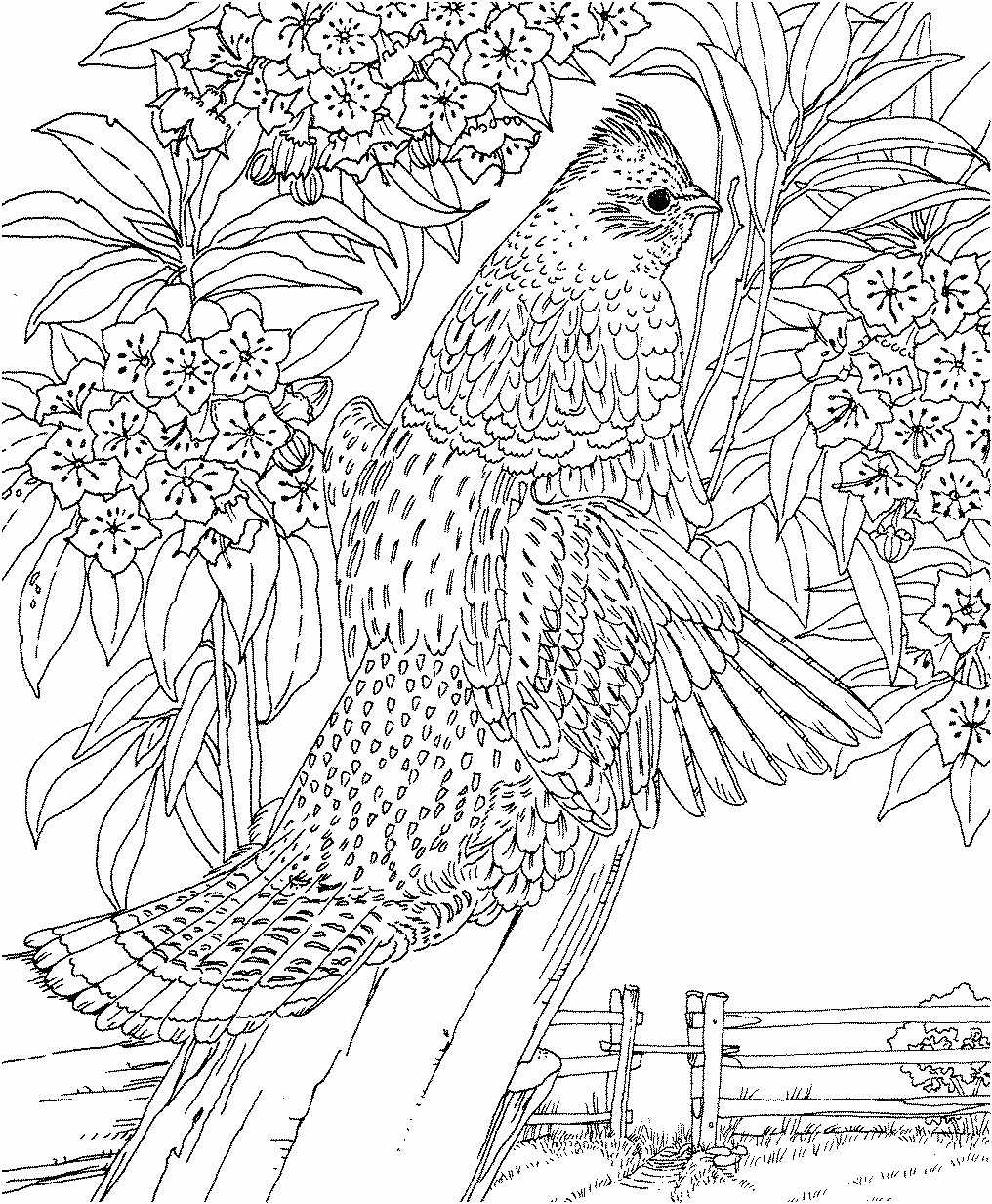 Challenging For Adults - Coloring Pages for Kids and for Adults