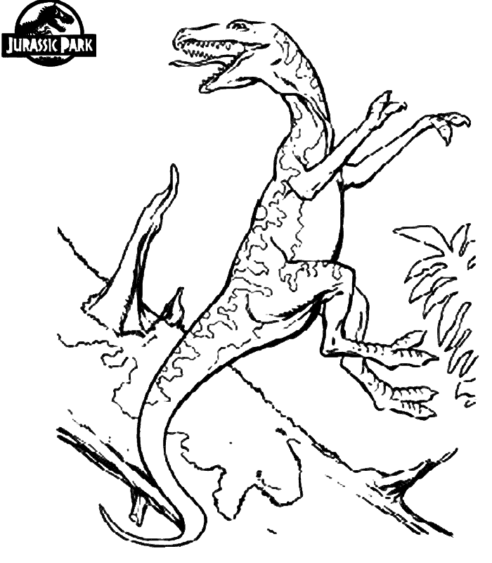 Jurassic Park Dinosaur Coloring Pages 7 Comgif | Cartoon Coloring 