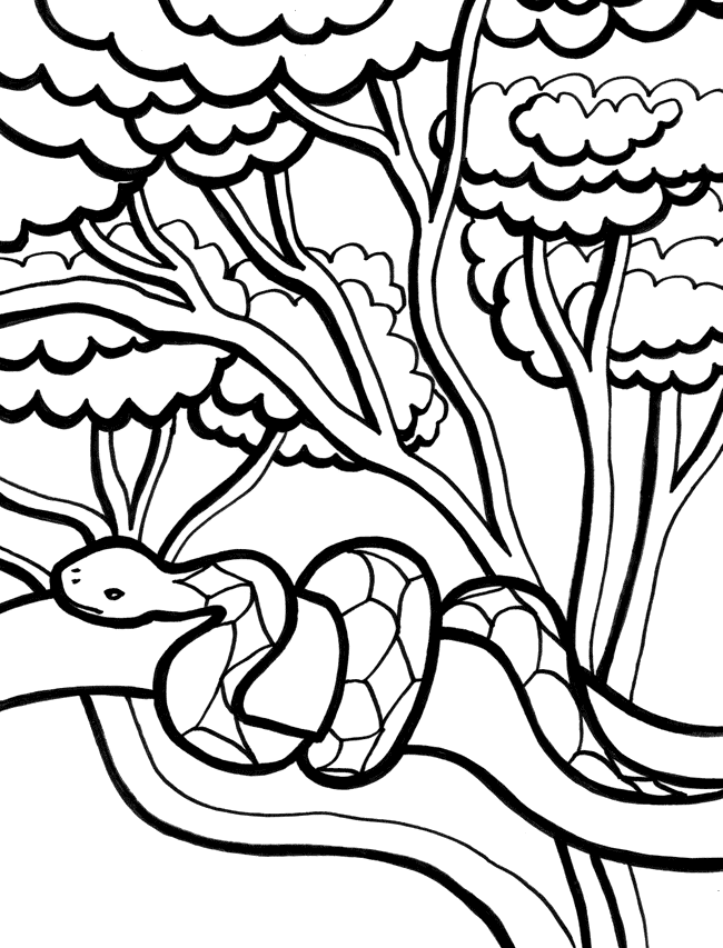 Snake Coloring Pages (12) - Coloring Kids