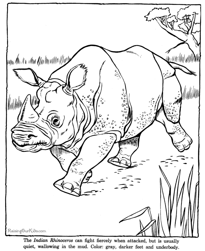 zoo-animal-coloring-pages-998 | COLORING WS