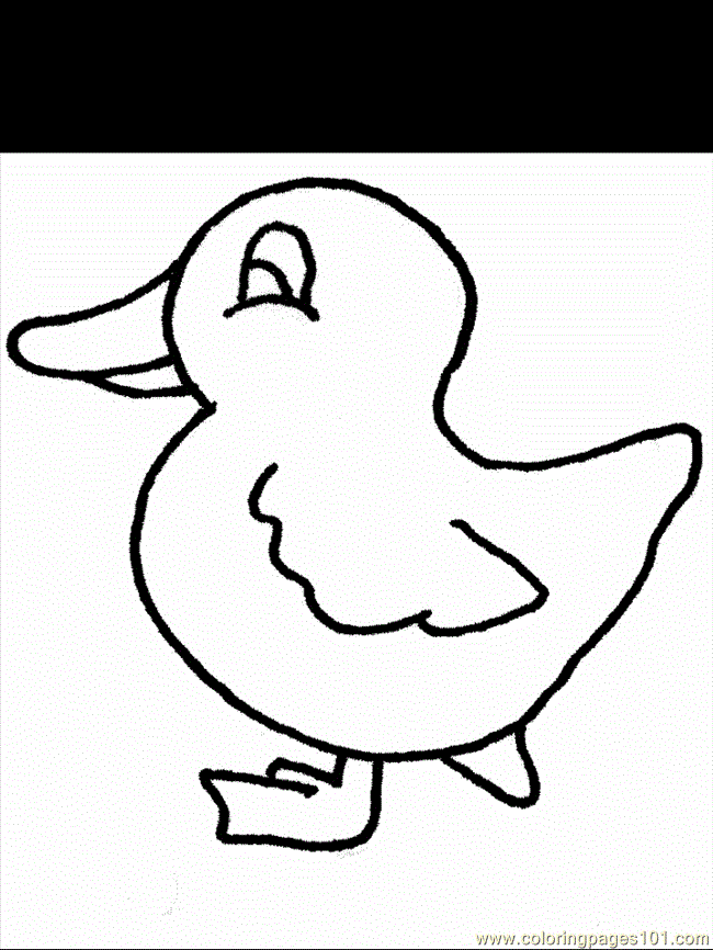Coloring Pages Coloring Pages Duck8 (Birds > Ducks) - free 