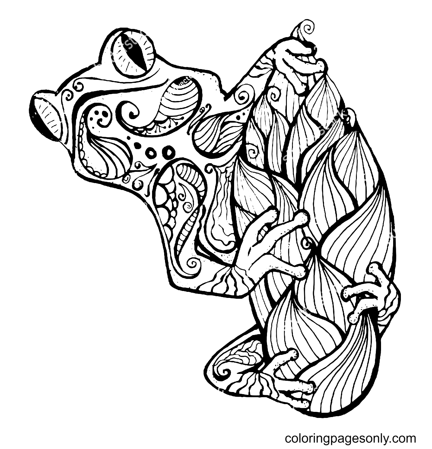 Frog Zentangle Coloring Pages - Frog Coloring Pages - Coloring Pages For  Kids And Adults