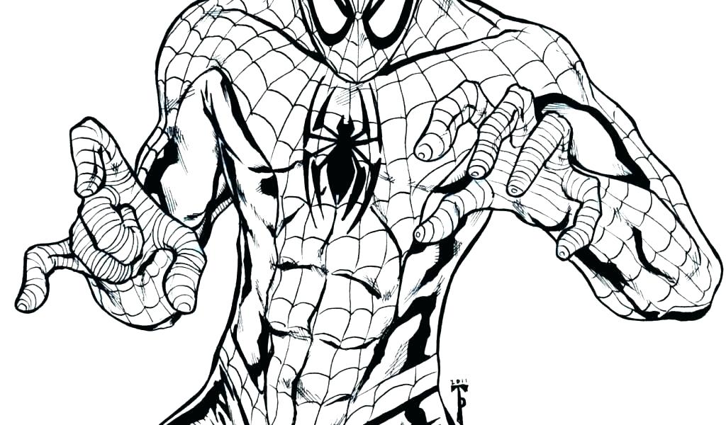 Spiderman Coloring Pages at GetDrawings | Free download