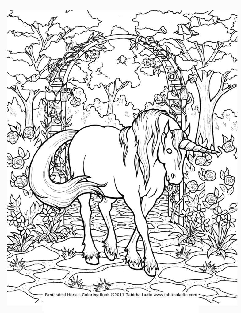 Adult Unicorn Coloring Pages   Coloring Home