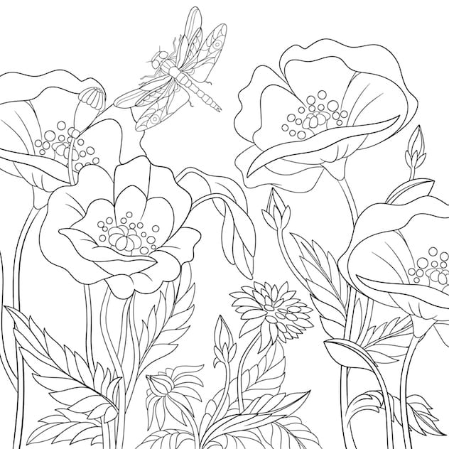 FREE Colouring in for ANZAC DAY