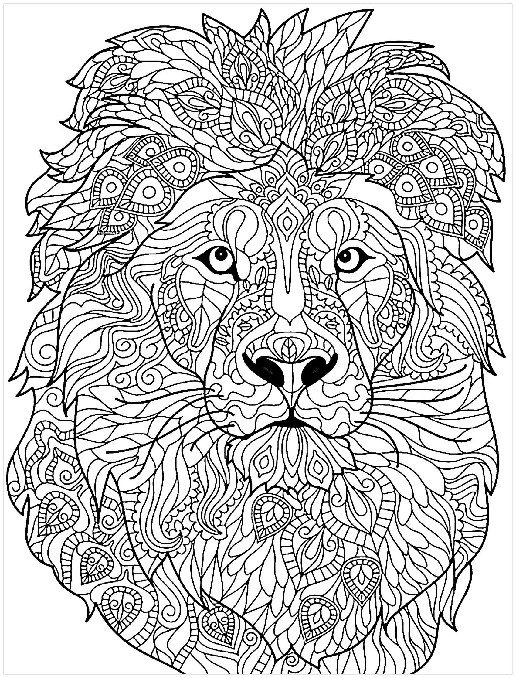 Lion head with complex patterns to color - Lion Kids Coloring Pages