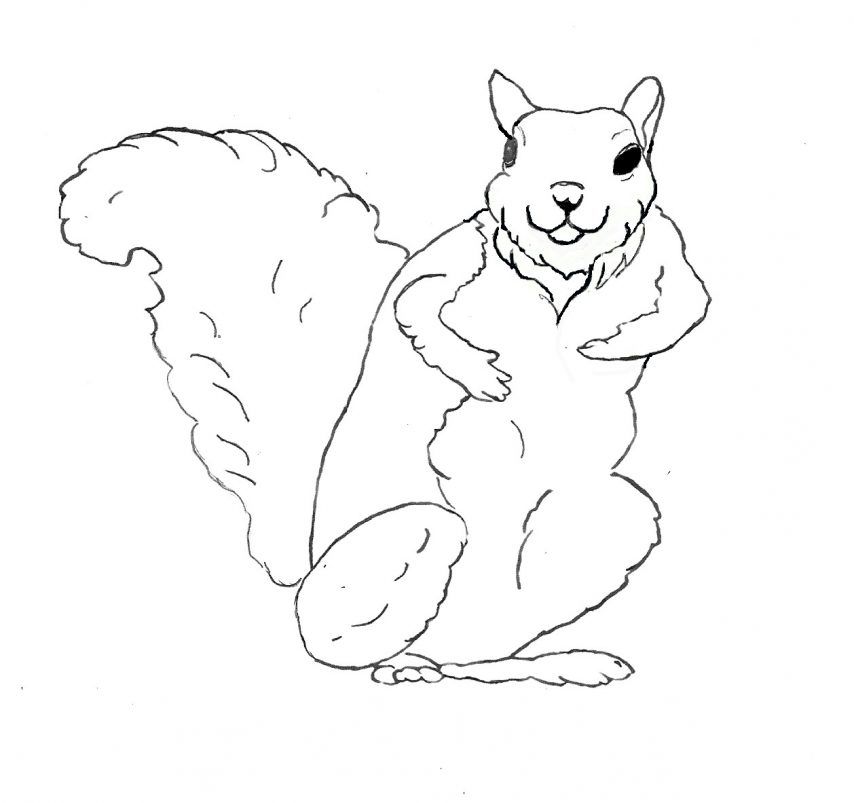 26 Printable Coloring Pages for Kids for: Squirrel Coloring Page ...