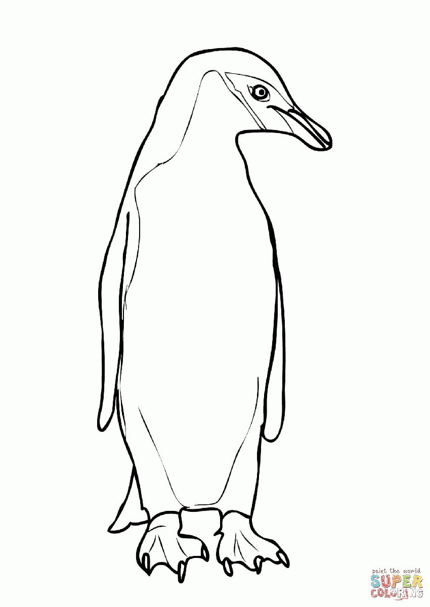 Rockhopper Penguin Coloring Pages | Best Coloring Page Site