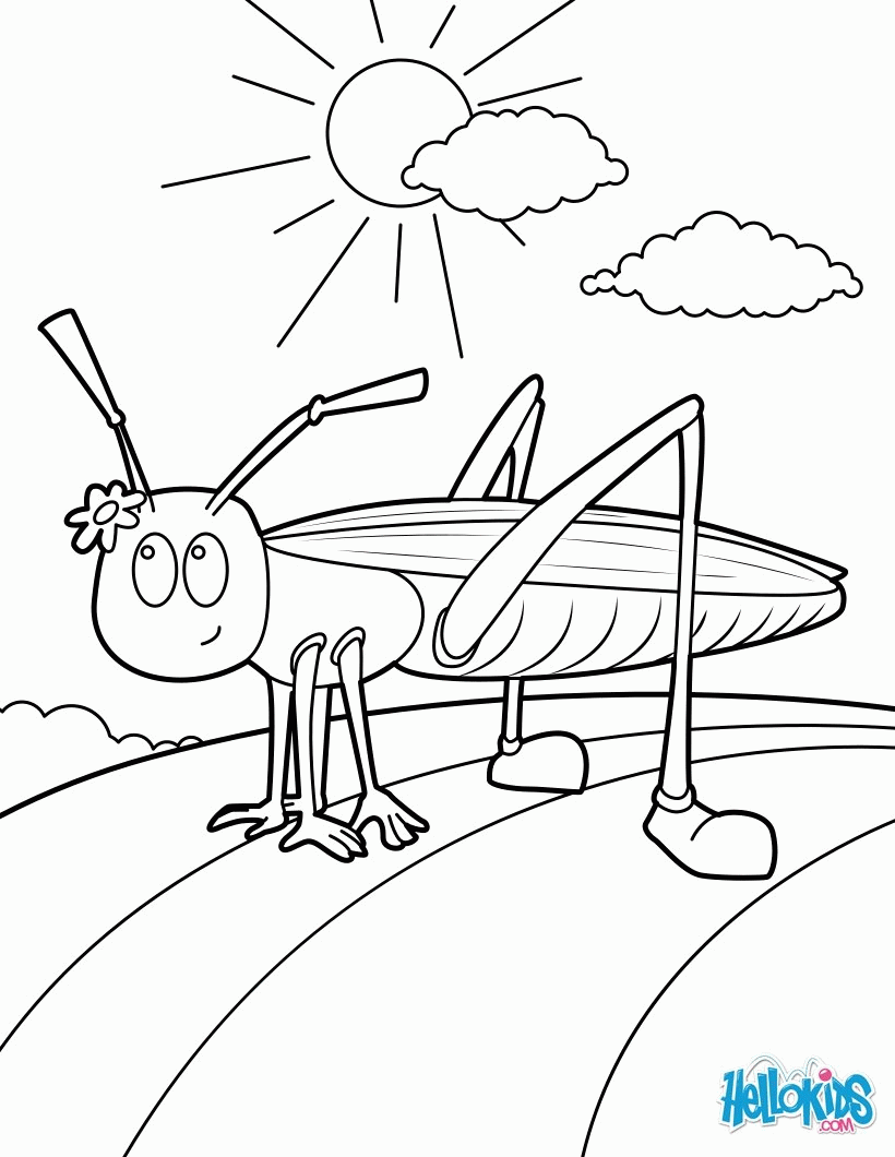 INSECT coloring pages - Ants