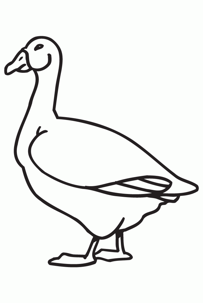 Download 142+ Goose Printable Coloring Pages PNG PDF File