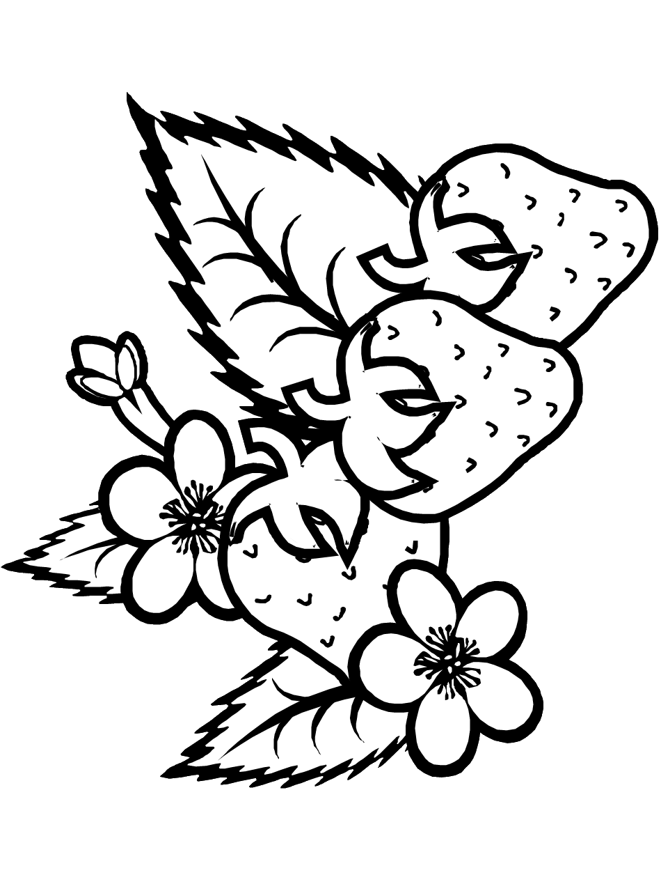 Summer Fruit Strawberry Coloring Pages - Get Coloring Pages