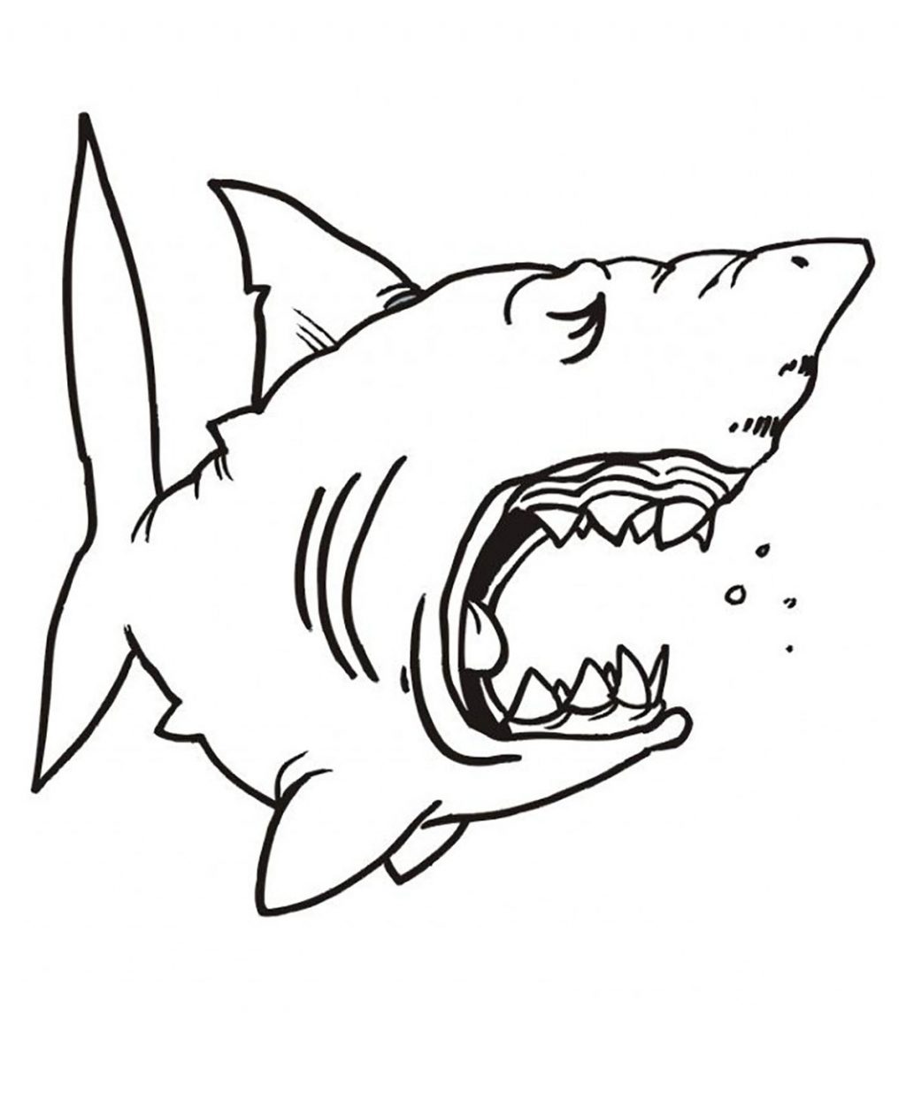 color pages ~ Free Printable Shark Coloring Pages For Kids ...