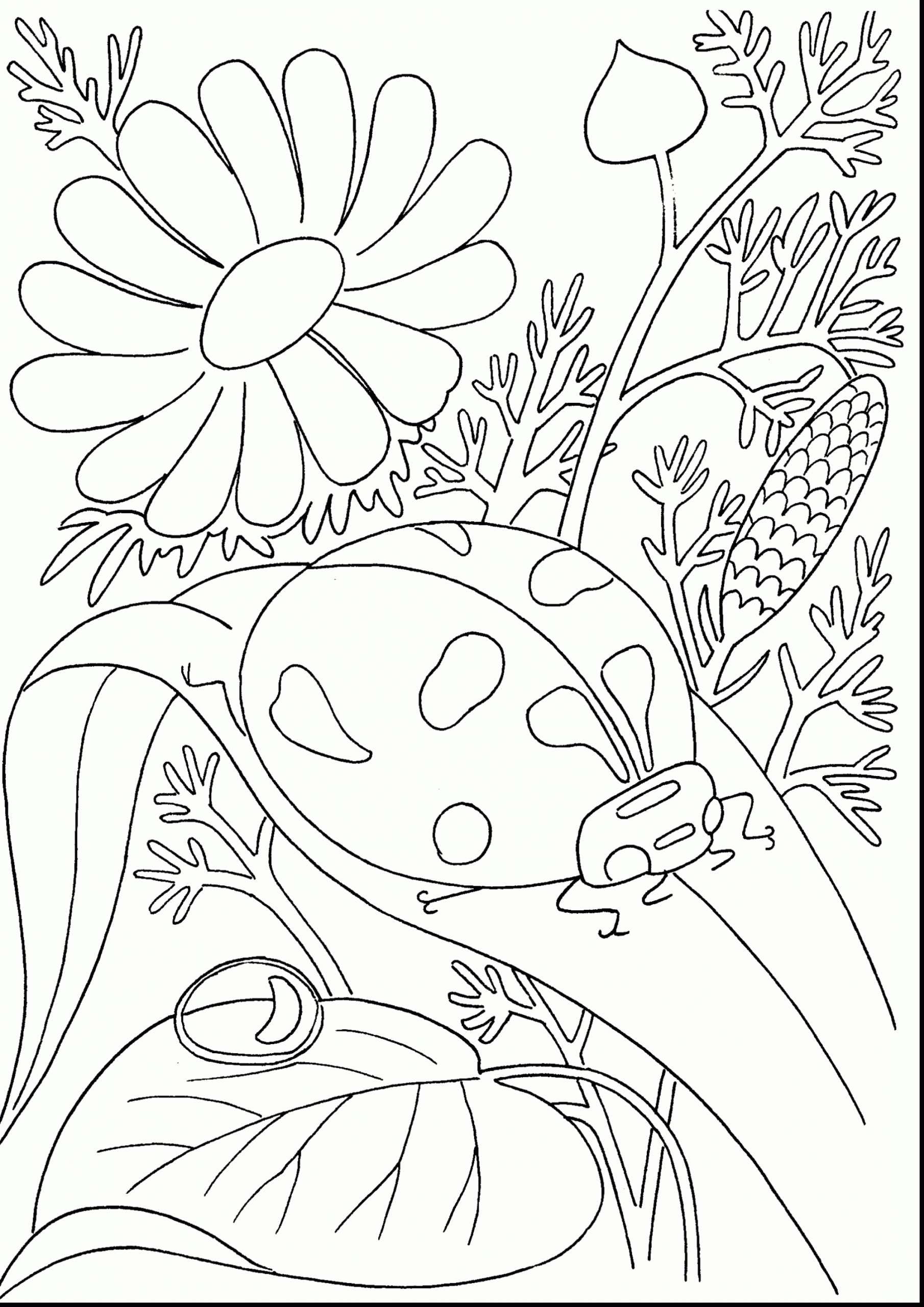 Coloring Pages : Coloring Page For Kids New Wonderful Spring ...