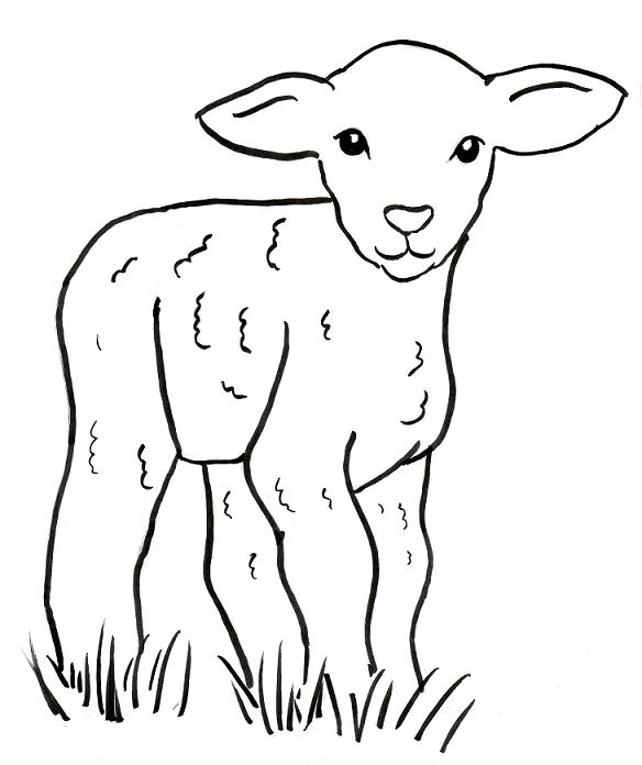 Lamb Coloring Page - Art Starts for Kids