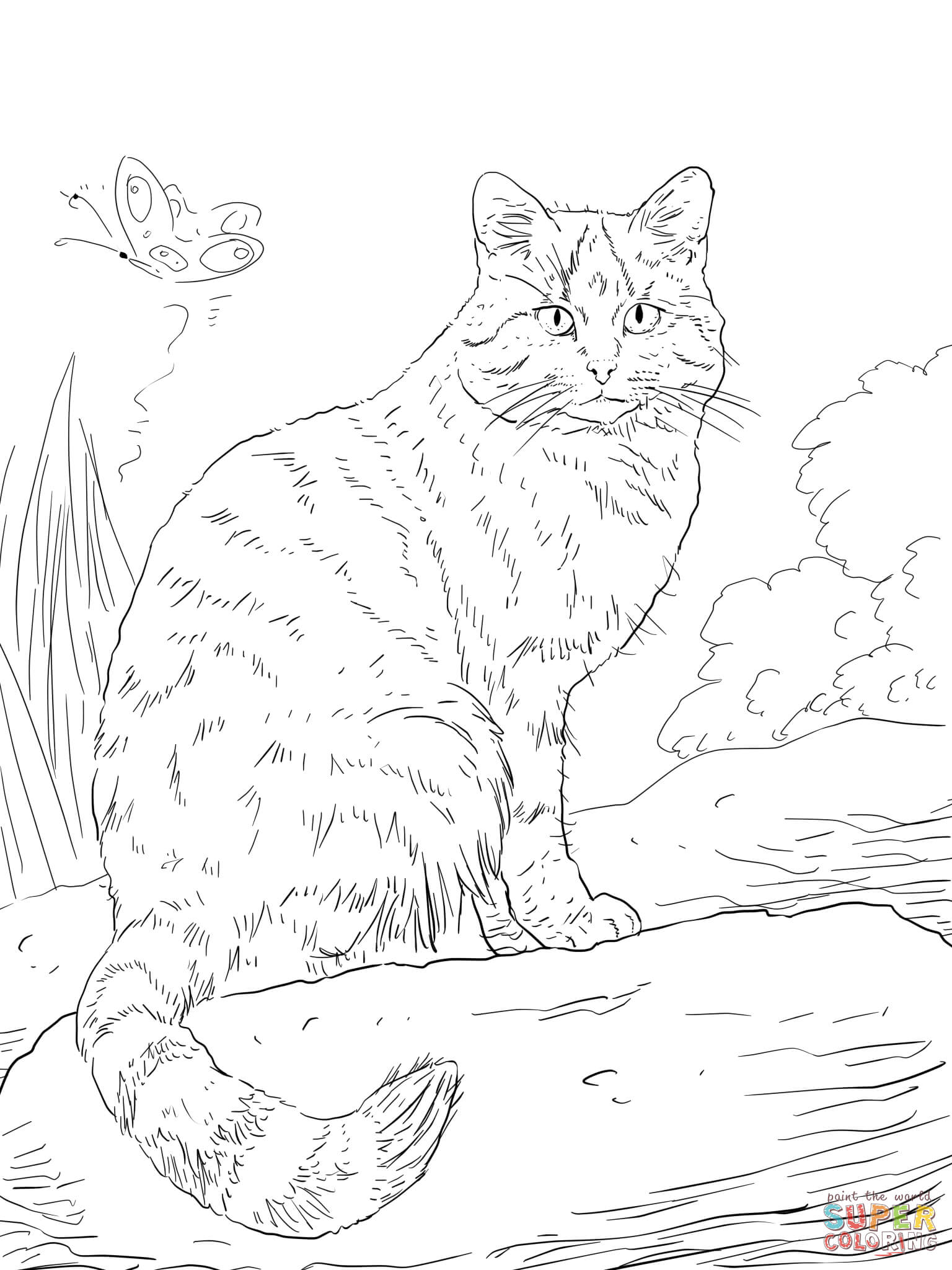 Лесной кот раскраска