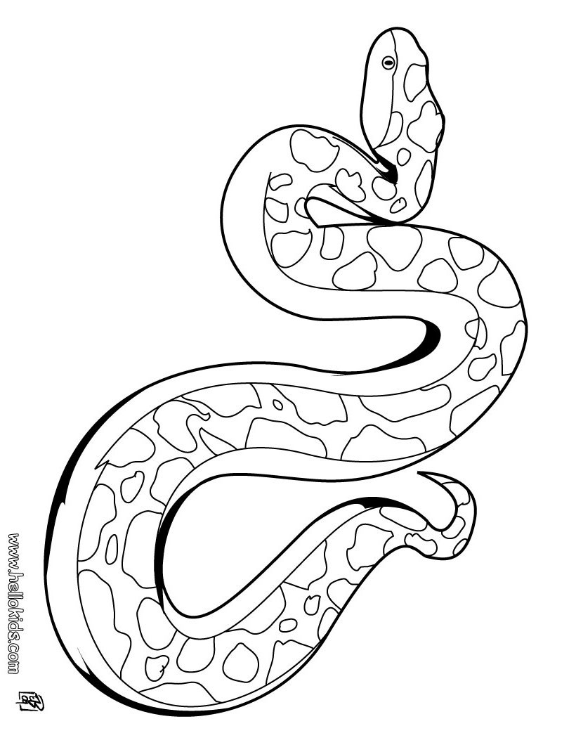 coloring : King Cobra Coloring Page New Snake Coloring Pages Hellokids King  Cobra Coloring Page ~ queens