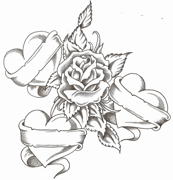 Featured image of post Rose Free Coloring Pages For Adults / More free coloring pages for adults.