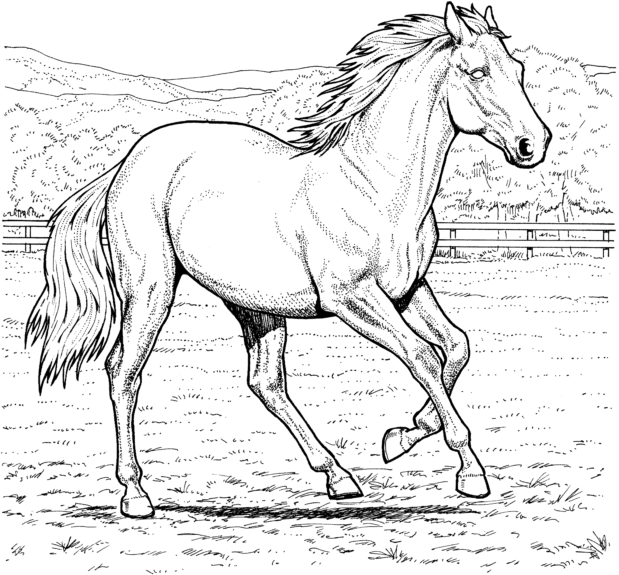 Adorable Horse Coloring Pages - Coloring Pages For All Ages