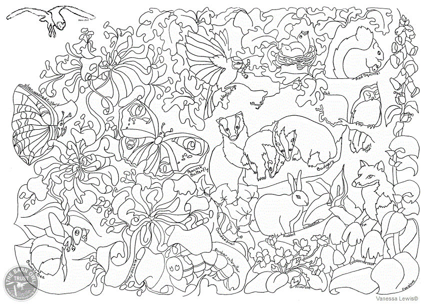 Free Woodland Coloring Pages - Coloring Home