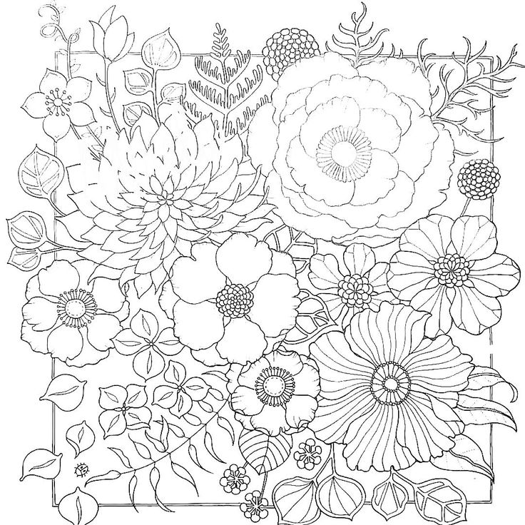 world of flowers | Flower coloring pages, Detailed coloring pages, Coloring  pages