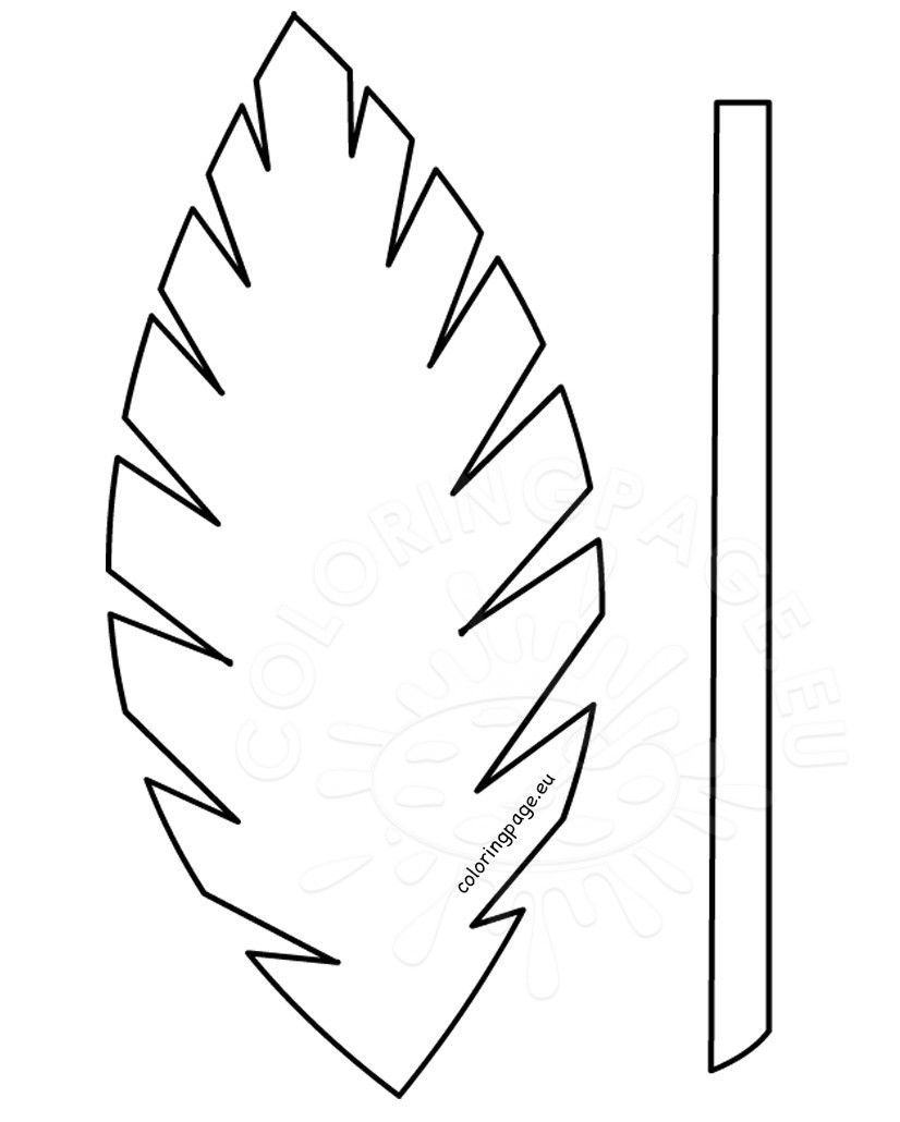 Palm Leaf Template Printable Vastuuonminun Sketch Coloring Page. Leaf