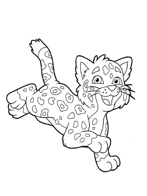 Cheetah Coloring Page - GetColoringPages.com