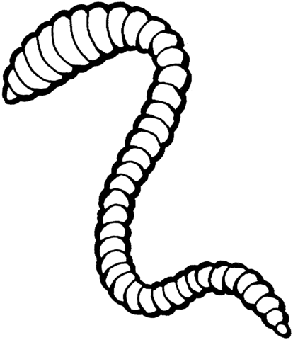 Earthworm coloring page | Free Printable Coloring Pages