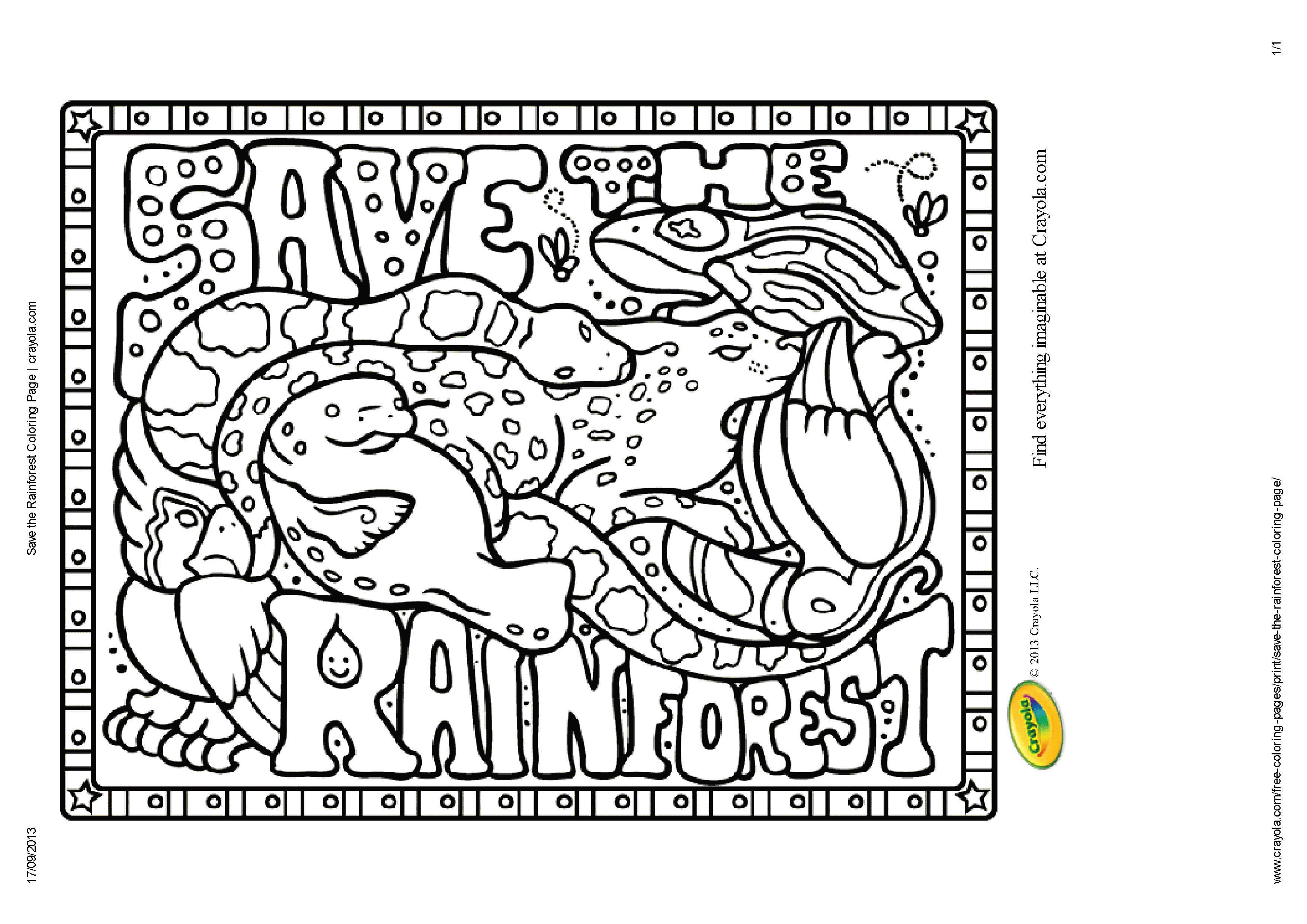 8 Pics of Rainforest Coloring Pages - Rainforest Animal Coloring ...
