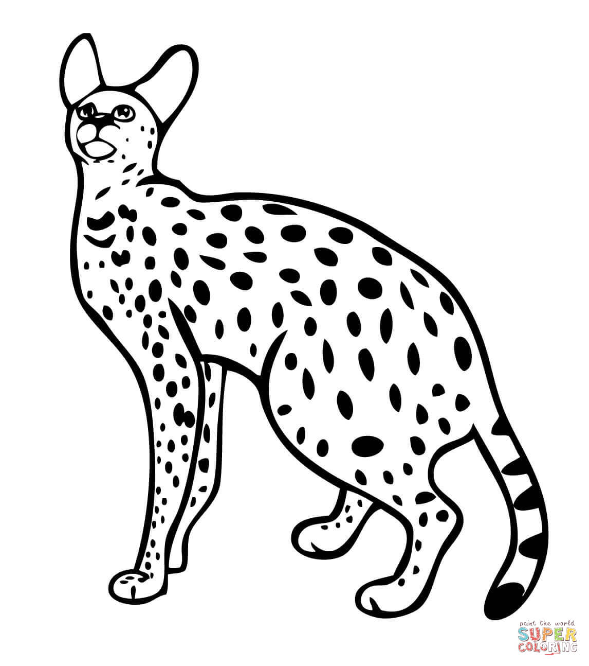 Serval Wild Cat coloring page | Free Printable Coloring Pages