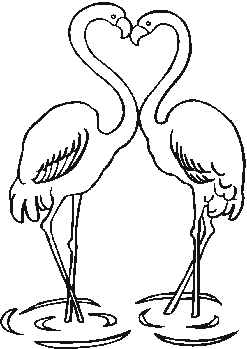 Flamingo Coloring Pages | Clipart Panda - Free Clipart Images
