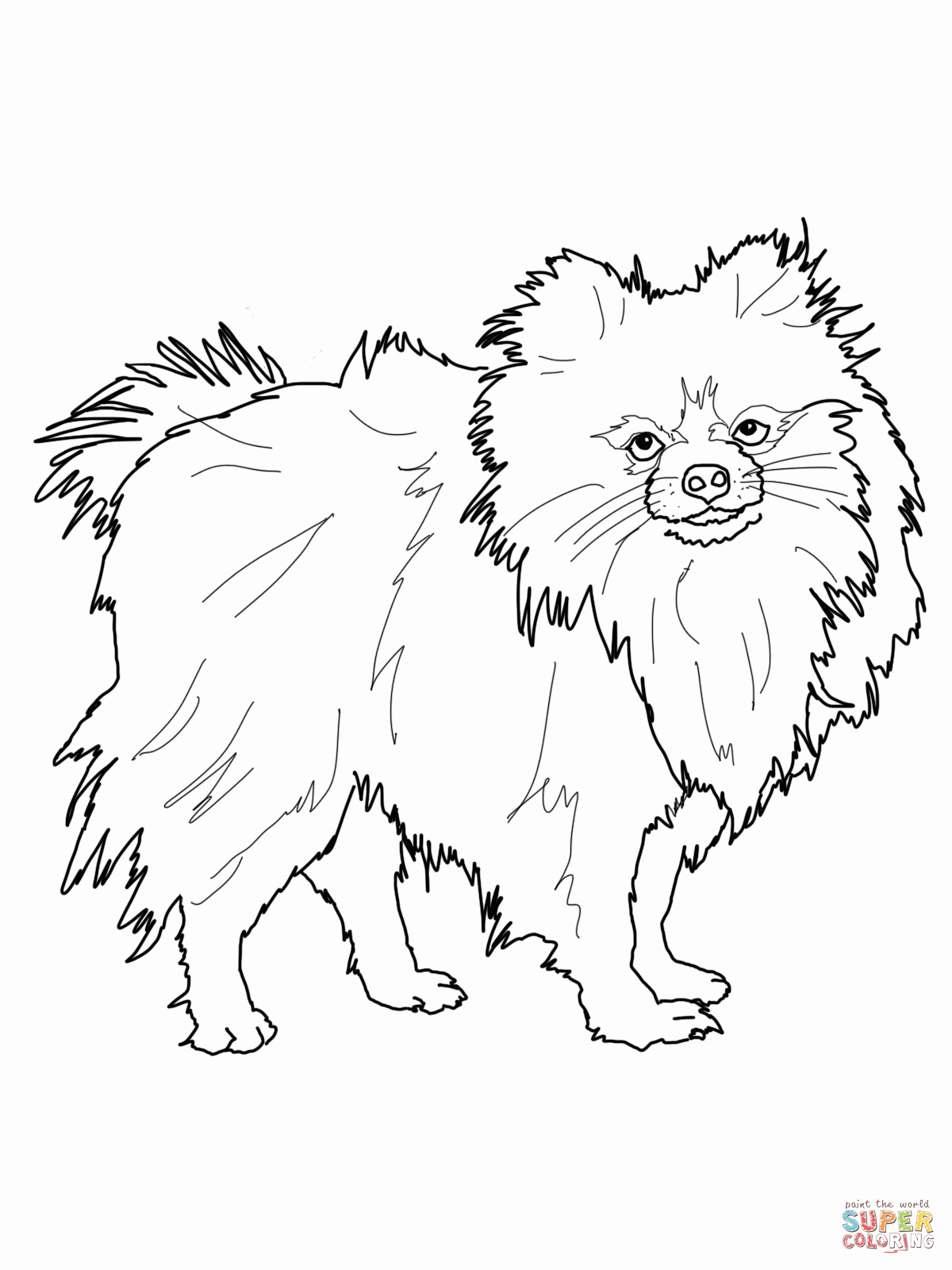 Pomeranian Coloring Page - Coloring Home